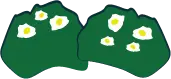 Bushes