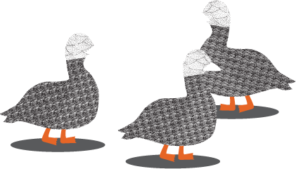 Ducks